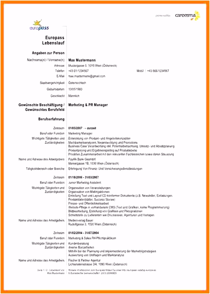 14 vorlage lebenslauf englisch