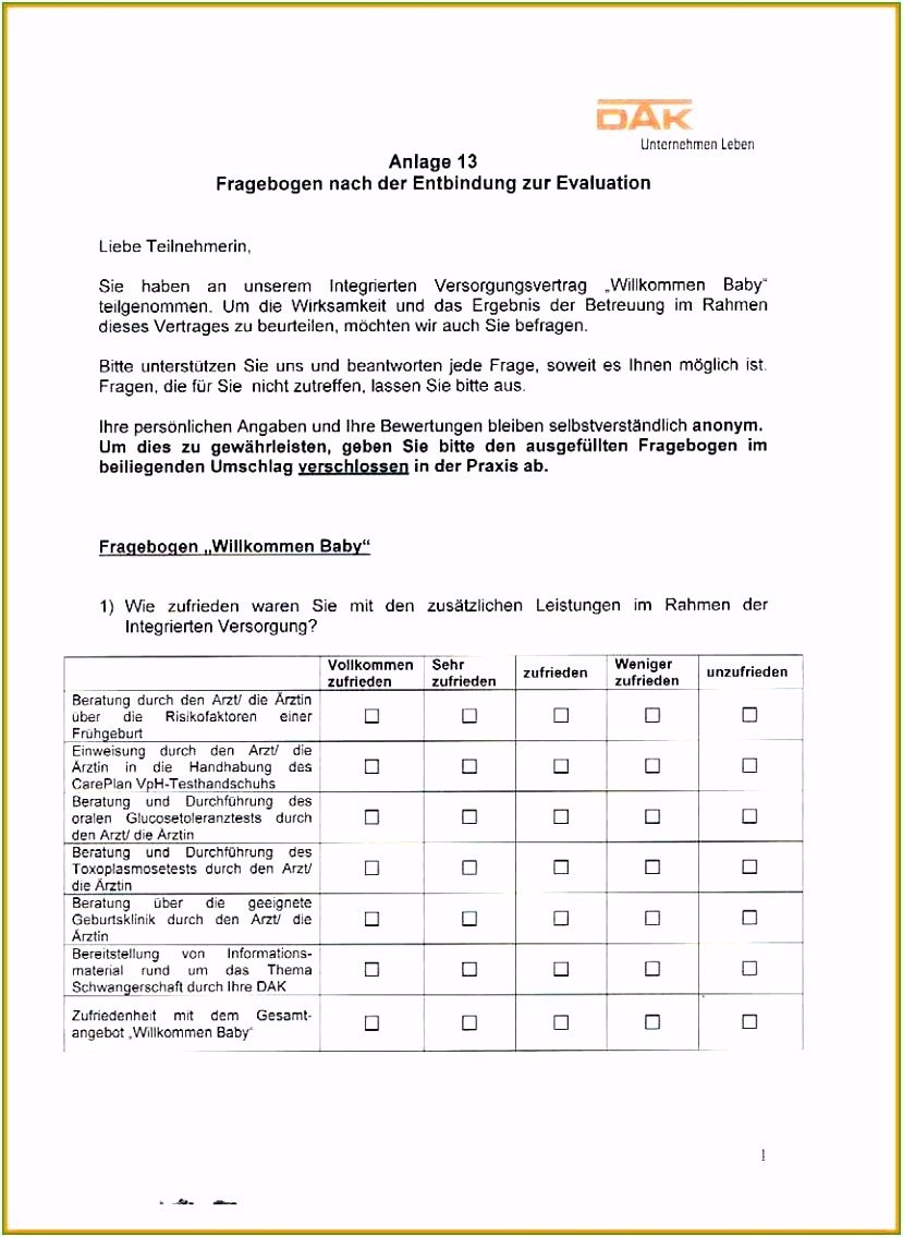 14 Bewundernswert Fragebogen Erstellen Vorlage Modelle