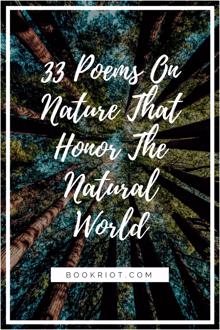 Poetry Slam Vorlage 33 Poems On Nature that Honor the Natural World D2qu71vwg2 Ihik26ucym