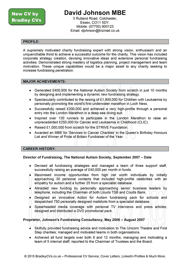 Cv Writer Resume Cv Template Examples